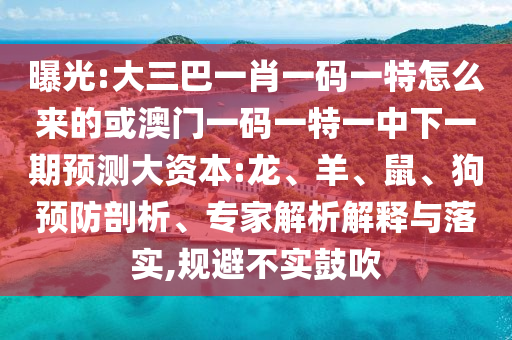 大三巴一肖一碼一特怎么來的或澳門一碼一特一中下一期預(yù)測大資本:龍