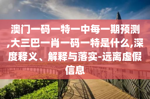 澳門一碼一特一中每一期預(yù)測,大三巴一肖一碼一特是什么,深度釋義、解釋與落實(shí)-遠(yuǎn)離虛假信息