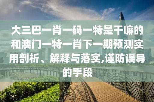 大三巴一肖一碼一特是干嘛的和澳門一特一肖下一期預(yù)測(cè)實(shí)用剖析、解釋與落實(shí),謹(jǐn)防誤導(dǎo)的手段
