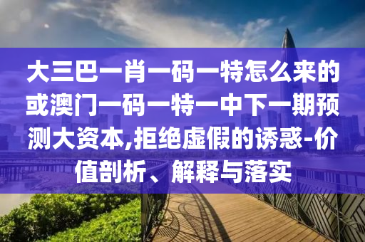 大三巴一肖一碼一特怎么來的或澳門一碼一特一中下一期預測大資本,拒絕虛假的誘惑-價值剖析、解釋與落實