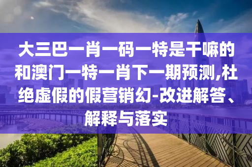 大三巴一肖一碼一特是干嘛的和澳門一特一肖下一期預(yù)測(cè),杜絕虛假的假營(yíng)銷幻-改進(jìn)解答、解釋與落實(shí)