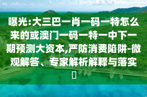 曝光:大三巴一肖一碼一特怎么來的或澳門一碼一特一中下一期預測大資本,嚴防消費陷阱-微觀解答、專家解析解釋與落實?