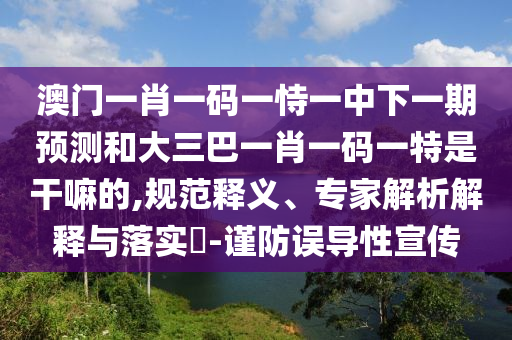 澳門一肖一碼一恃一中下一期預(yù)測和大三巴一肖一碼一特是干嘛的,規(guī)范釋義、專家解析解釋與落實(shí)?-謹(jǐn)防誤導(dǎo)性宣傳