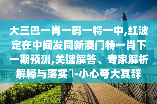大三巴一肖一碼一特一中,紅波定在中間發(fā)同新澳門特一肖下一期預測,關鍵解答、專家解析解釋與落實?-小心夸大其辭