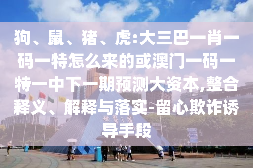 狗、鼠、豬、虎:大三巴一肖一碼一特怎么來的或澳門一碼一特一中下一期預(yù)測大資本,整合釋義、解釋與落實(shí)-留心欺詐誘導(dǎo)手段